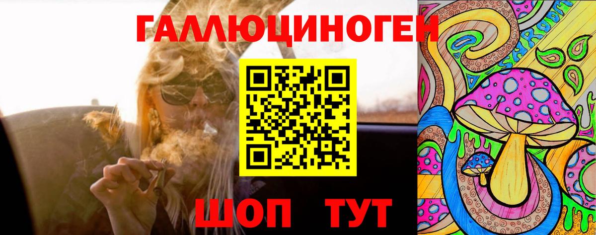 Псилоцибиновые грибы мухоморы Минеральные Воды