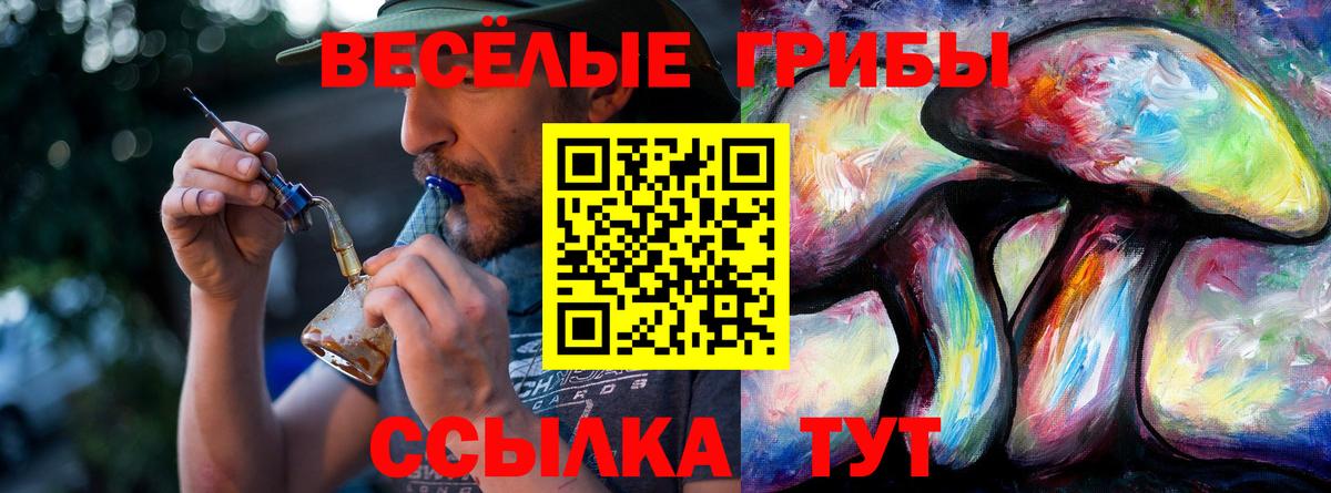Минеральные Воды  Галлюциногенные грибы прущие грибы  Вход с VPN 